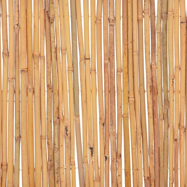 Staket bambu 500x50 cm