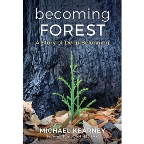 Becoming Forest: A Story of Deep Belonging (inbunden, eng)