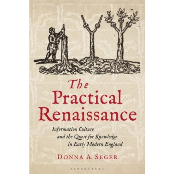 The Practical Renaissance (häftad, eng)