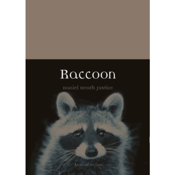 Raccoon (häftad, eng)