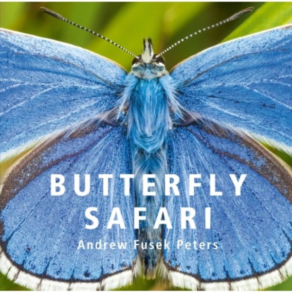 Butterfly Safari (inbunden, eng)