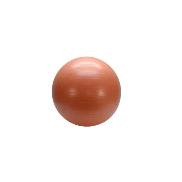 Gymboll 55cm