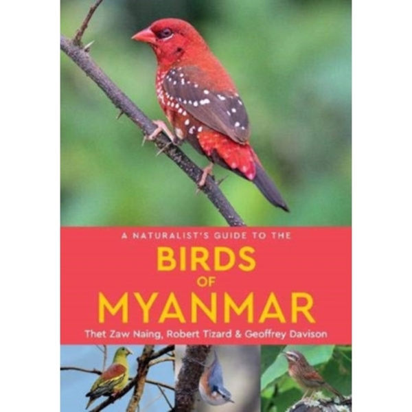 A Naturalist's Guide to the Birds of Myanmar (häftad, eng)