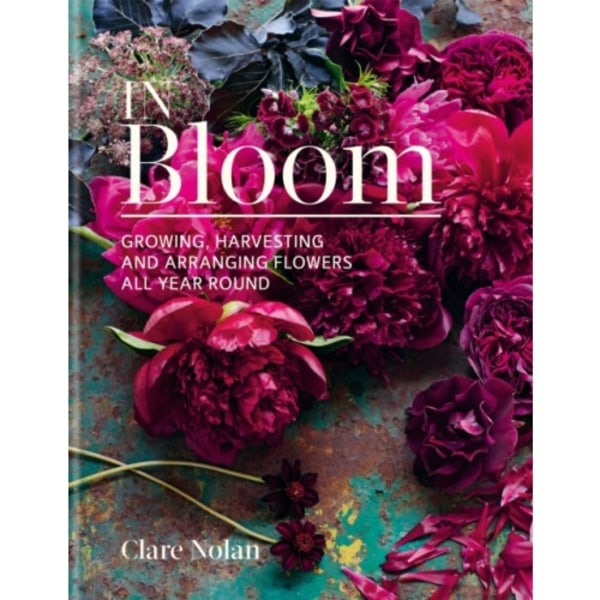 In Bloom (inbunden, eng)