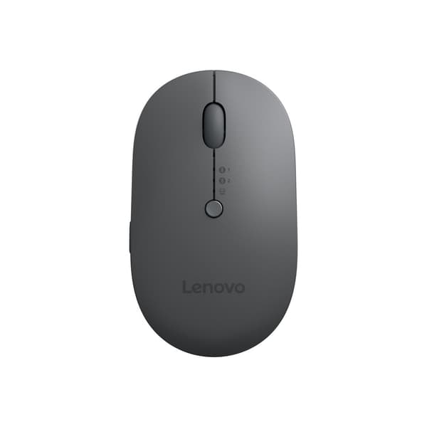 Lenovo Multi-Device - X9 Edition - mus - 2.4 GHz, Bluetooth 5.0 - åskgrå (överdel), thunder black (underdel)