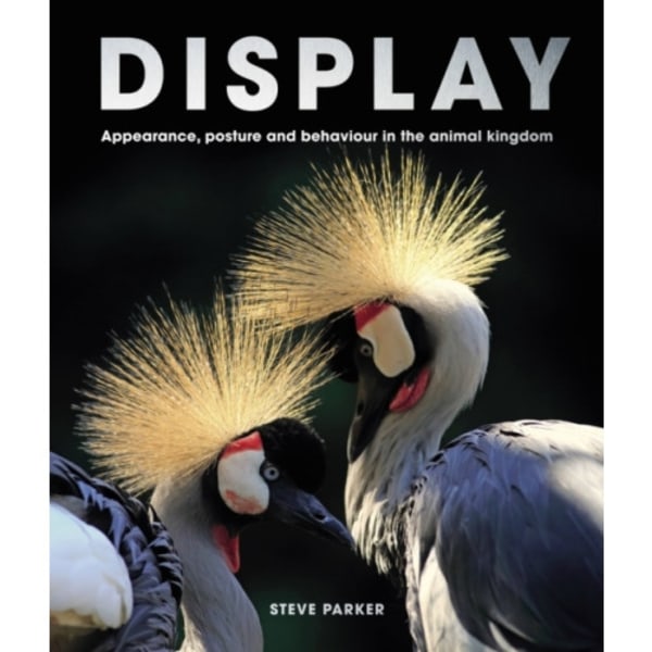 Display (inbunden, eng)
