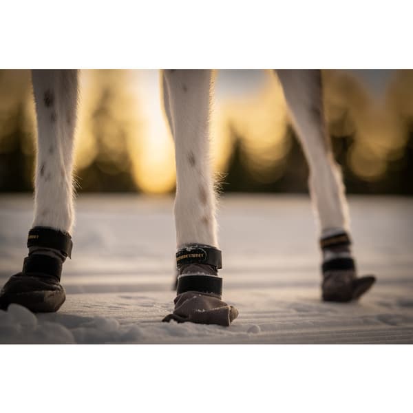 Hundskor High Endurance 4p Grå Mini