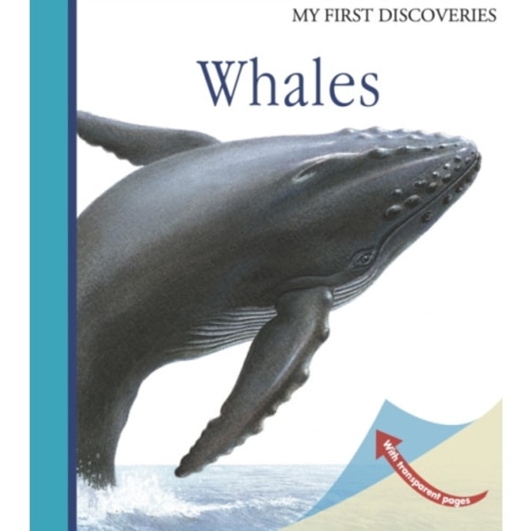 Whales (bok, spiral, eng)