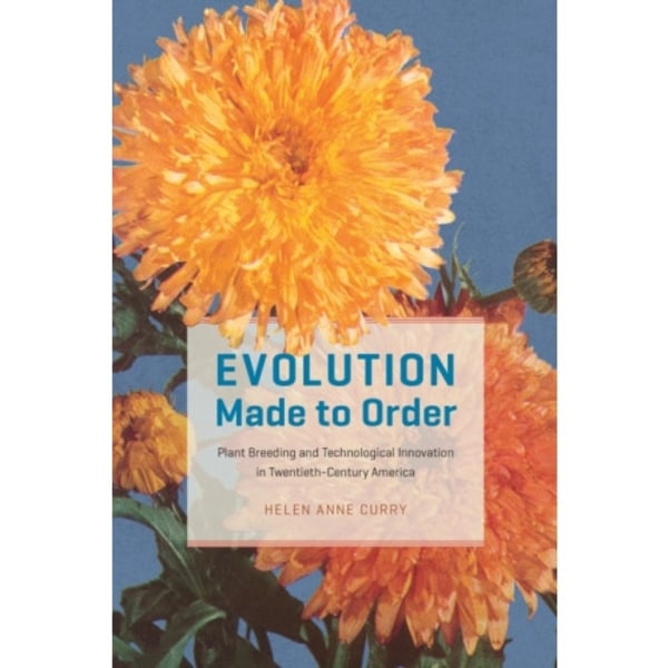 Evolution Made to Order (häftad, eng)