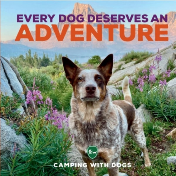 Every Dog Deserves an Adventure (inbunden, eng)