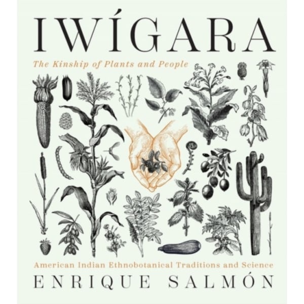 Iwigara (inbunden, eng)