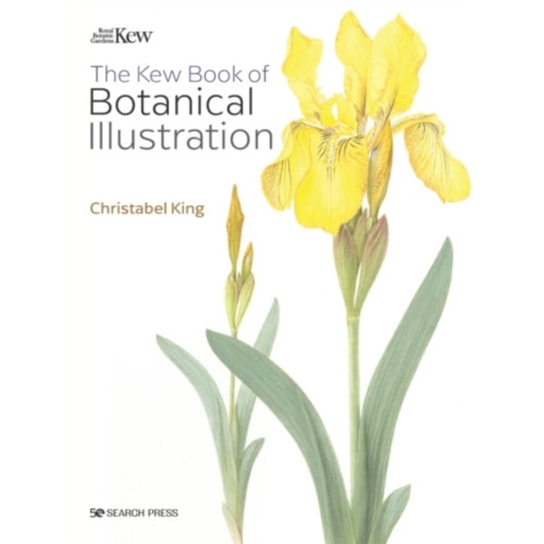 The Kew Book of Botanical Illustration (paperback edition) (häftad, eng)