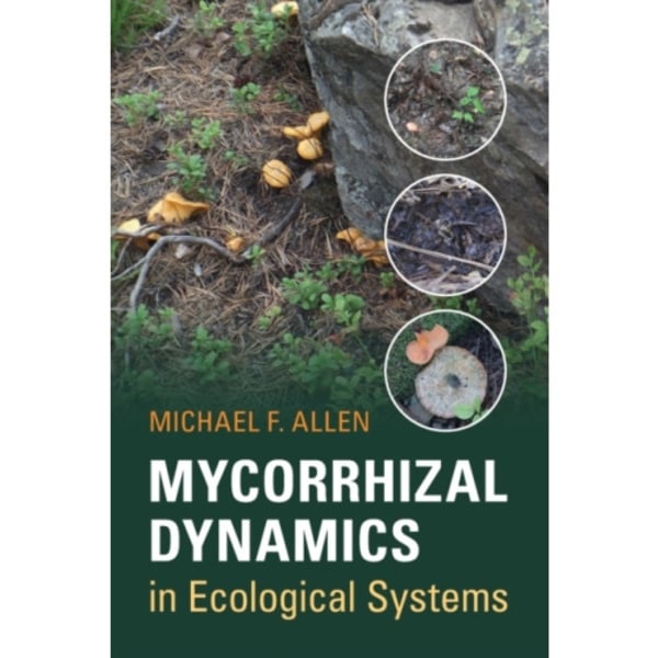 Mycorrhizal Dynamics in Ecological Systems (häftad, eng)