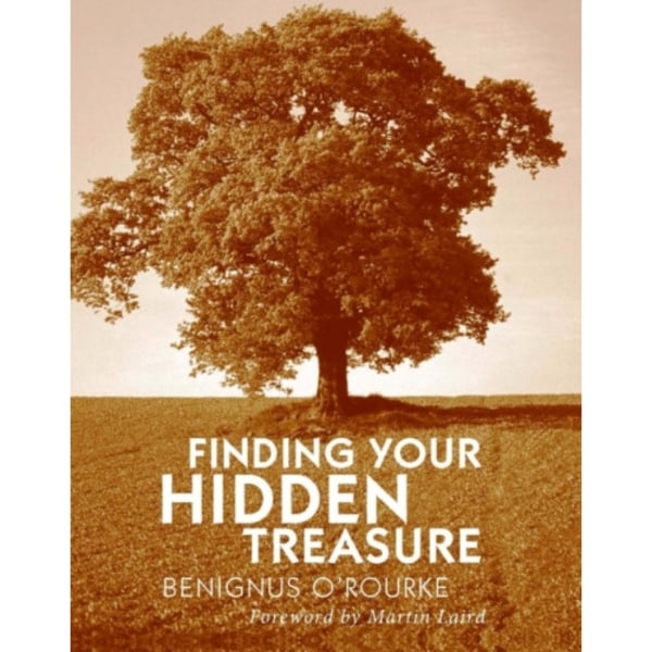 Finding Your Hidden Treasure (häftad, eng)