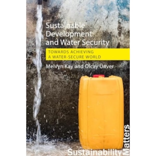 Sustainable Development and Water Security (häftad, eng)