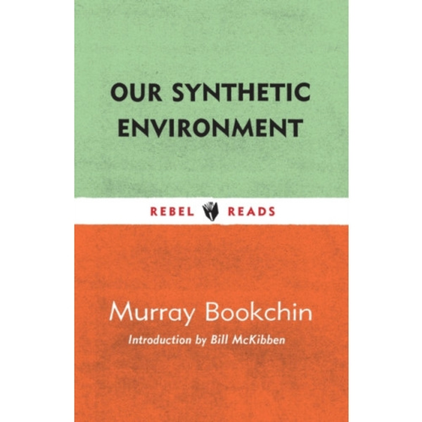 Our Synthetic Environment (häftad, eng)