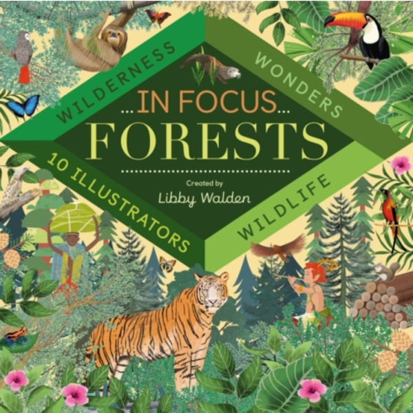 In Focus: Forests (inbunden, eng)