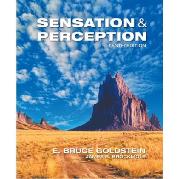 Sensation and Perception (inbunden, eng)