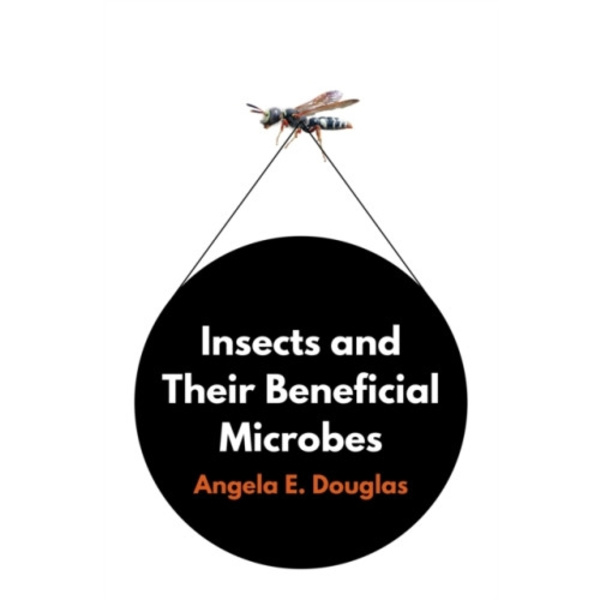 Insects and Their Beneficial Microbes (inbunden, eng)