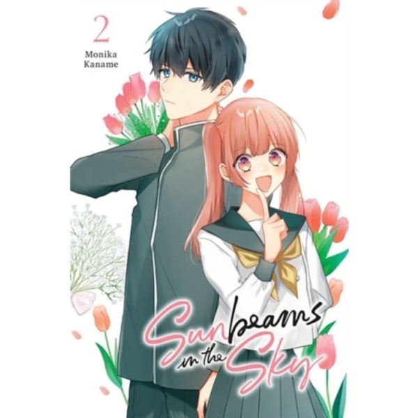 Sunbeams in the Sky, Vol. 2 (häftad, eng)