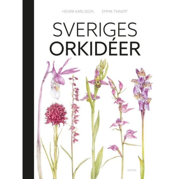 Sveriges orkidéer (inbunden)
