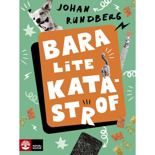 Bara lite katastrof (inbunden)