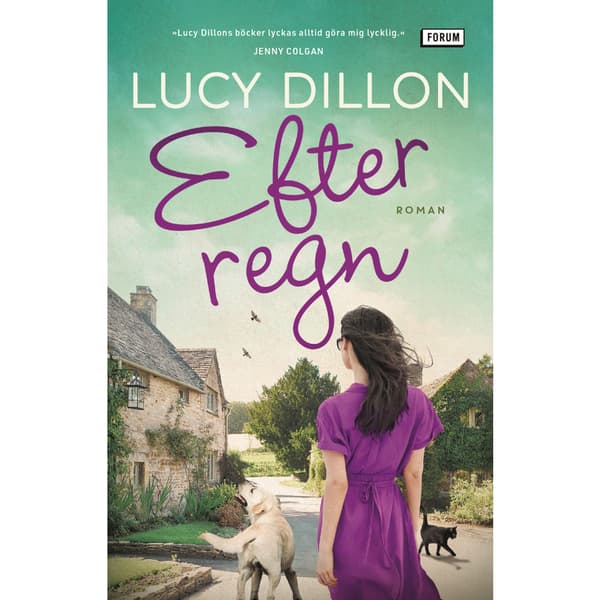 Efter regn (bok, storpocket)