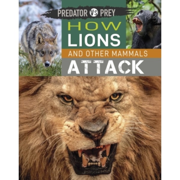 Predator vs Prey: How Lions and other Mammals Attack (häftad, eng)