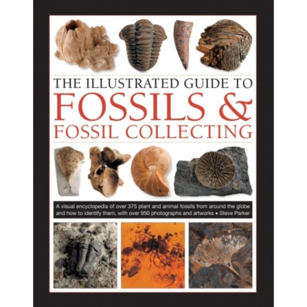 Fossils & Fossil Collecting, The Illustrated Guide to (inbunden, eng)