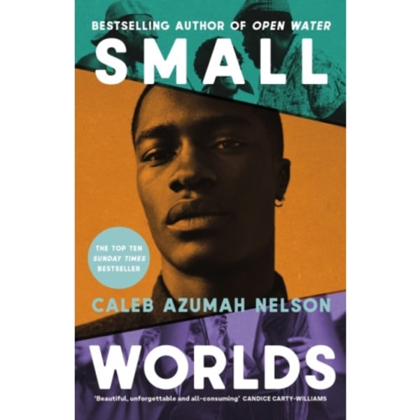 Small Worlds (inbunden, eng)