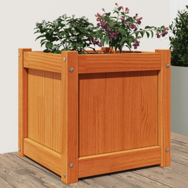Odlingslåda vaxbrun 40x40x40 cm vit massiv furu