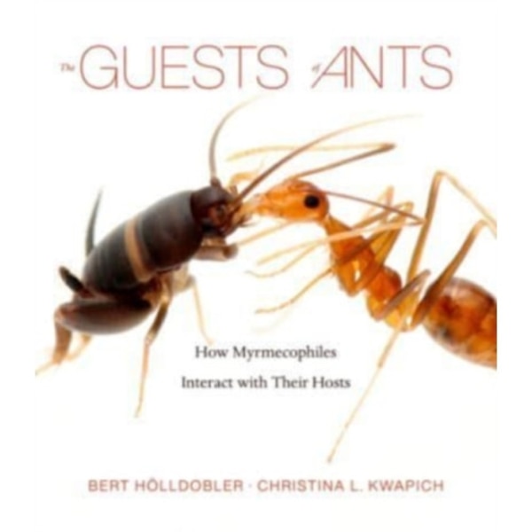 The Guests of Ants (inbunden, eng)