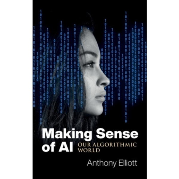 Making Sense of AI (häftad, eng)