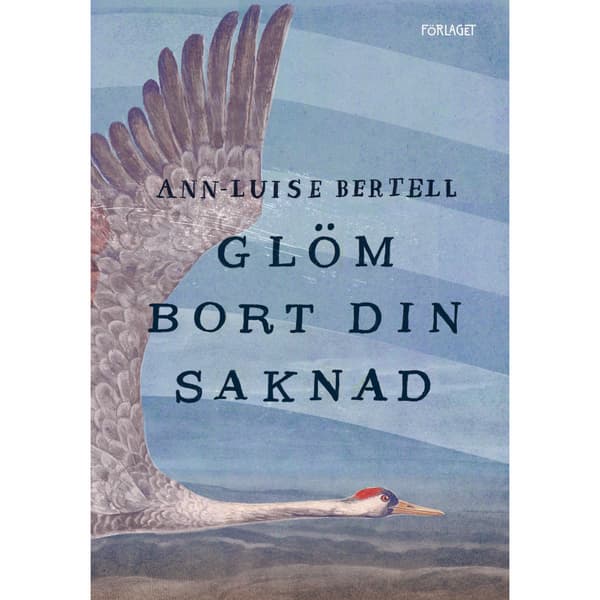 Glöm bort din saknad  (bok, kartonnage)