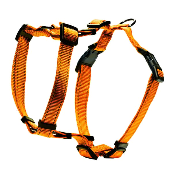 H-Sele Iris Orange M/L