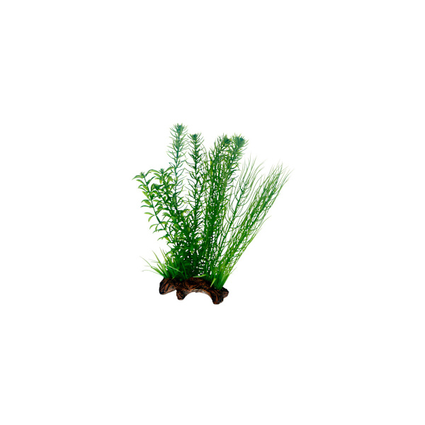 Dekor Flora Root 2 L 30cm Grön
