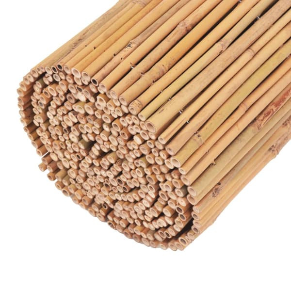 Staket bambu 500x50 cm