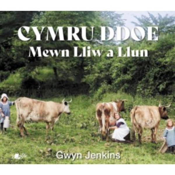 Cymru Ddoe Mewn Lliw a Llun (inbunden, wel)