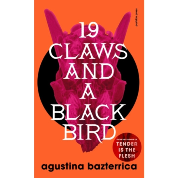 Nineteen Claws and a Black Bird (häftad, eng)