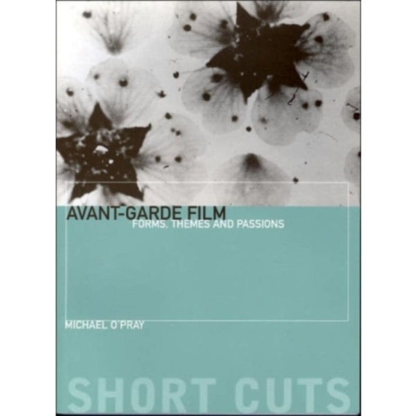 Avant–Garde Film – Forms, Themes and Passions (häftad, eng)