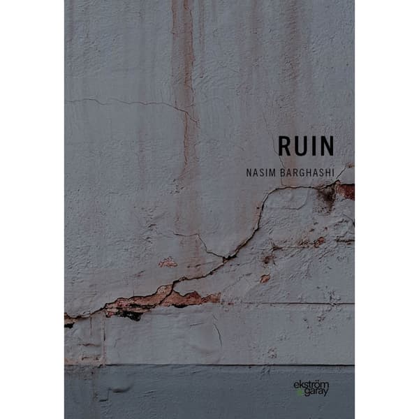 Ruin (bok, danskt band)