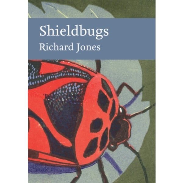 Shieldbugs (inbunden, eng)