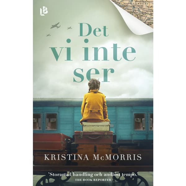 Det vi inte ser (inbunden)
