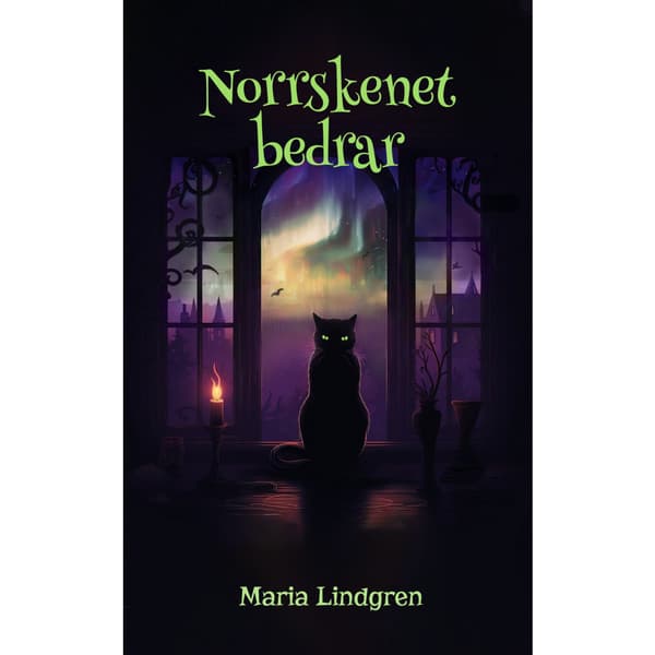 Norrskenet bedrar (häftad)