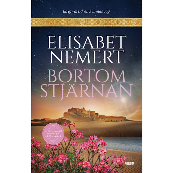 Bortom stjärnan (bok, storpocket)