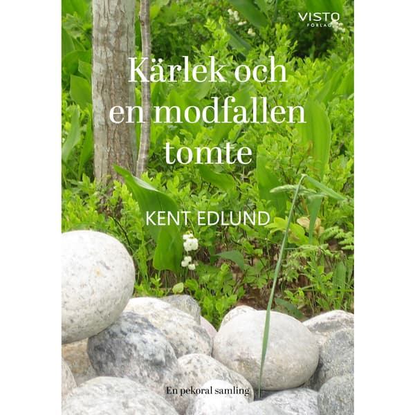 Kärlek och en modfallen tomte (häftad)