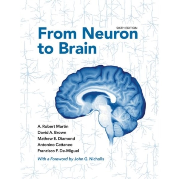 From Neuron to Brain (inbunden, eng)