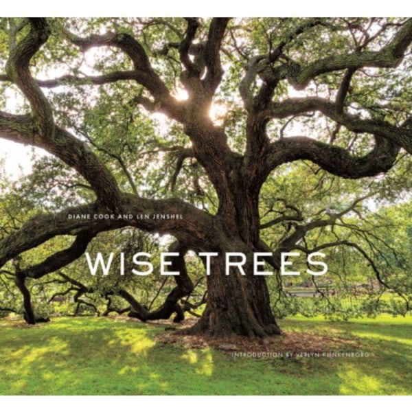 Wise Trees (inbunden, eng)