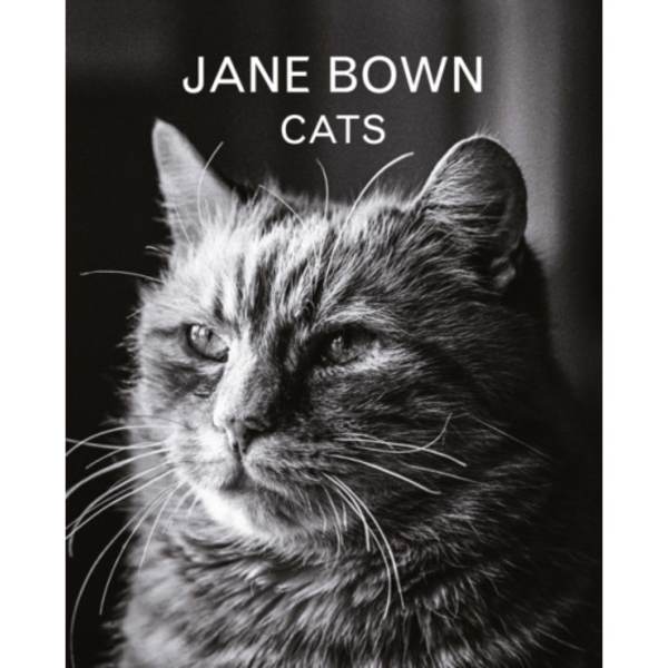 Jane Bown: Cats (inbunden, eng)