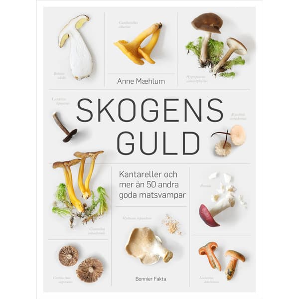 Skogens guld (inbunden)